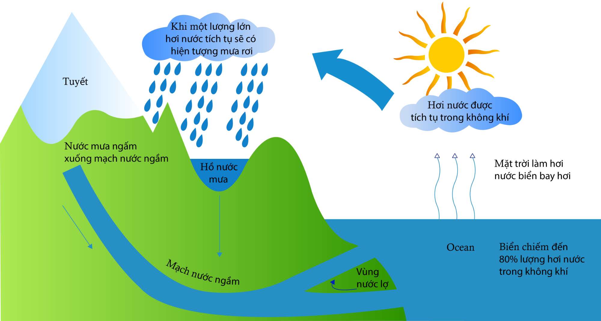 Liên kết hidro góp phần điều hòa quá trình tuần hoàn của nước