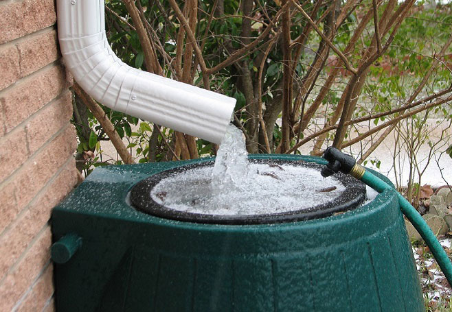 Vệ sinh sạch sẽ dụng cụ chứa nước mưa