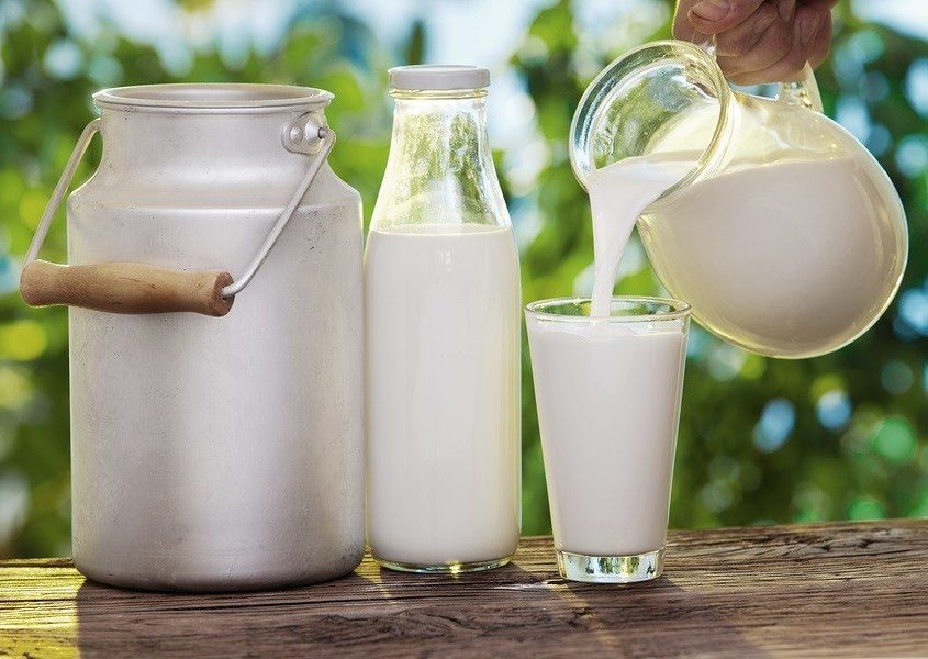 Sữa là loại thực phẩm giúp làm giảm lượng calo nạp vào cơ thể và đáp ứng được nhu cầu giảm cân
