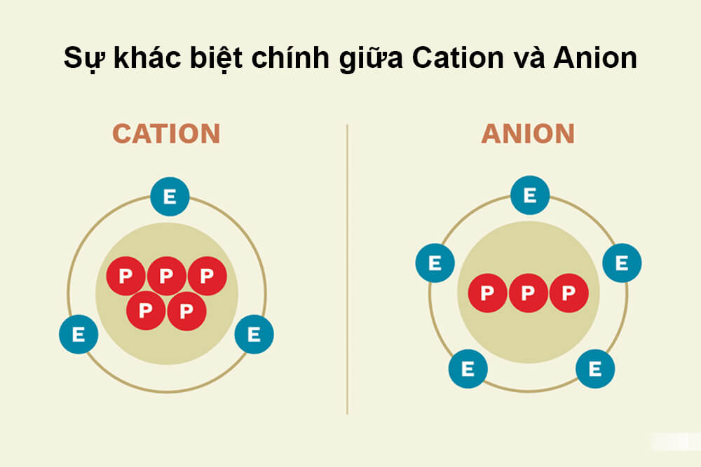 Hạt nhựa anion và cation khác nhau như thế nào?