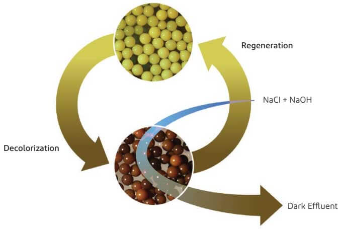 Tái sinh hạt nhựa cation