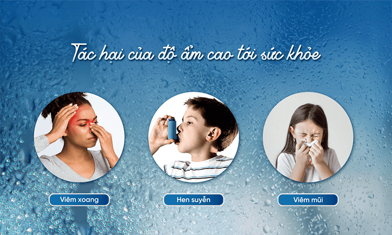 Tác hại khi độ ẩm quá cao kéo dài