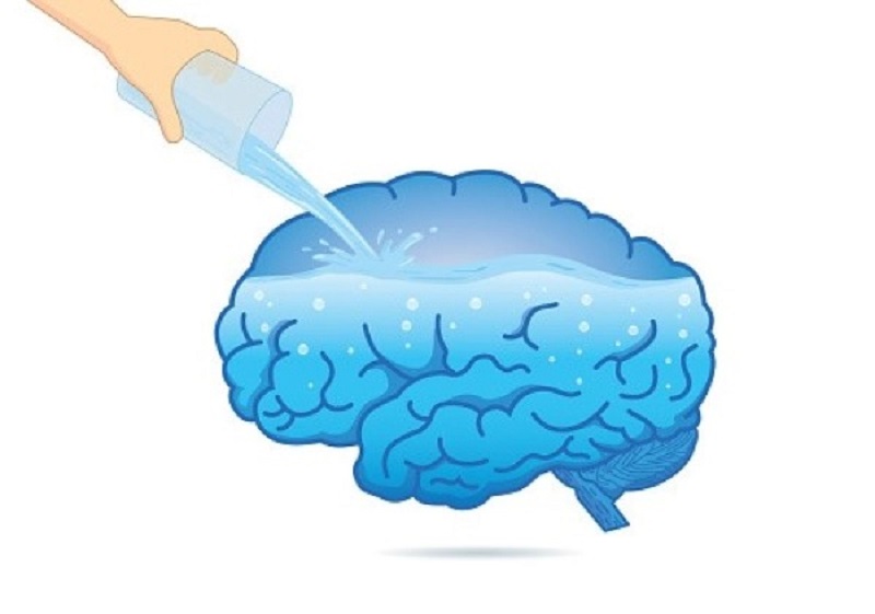 Nước có vai trò gì đối với não bộ?